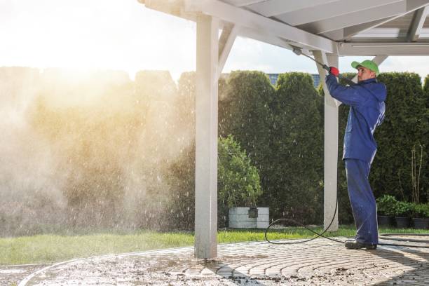 Best Restaurant Pressure Washing  in Dexter, NM