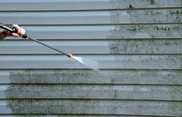 Best Fence Cleaning  in Dexter, NM